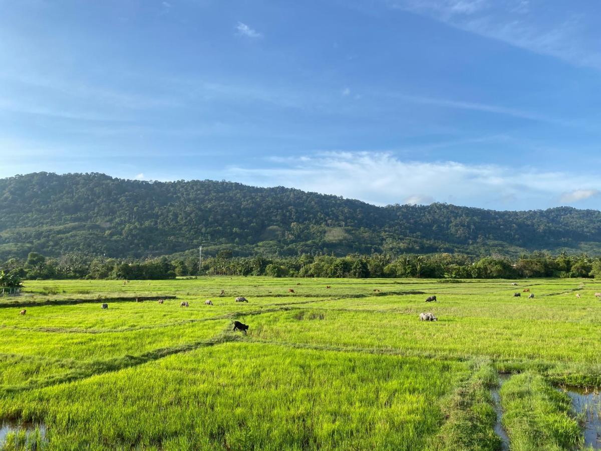 Lamanleman Langkawi 珍南海滩 外观 照片
